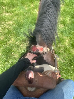 Barrel Work, Podcast Recommendation, Saddle Fit, Conditioning, & THE KENTUCKY DERBY?!