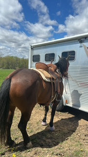 School, Horses, and SUMMER!! <3